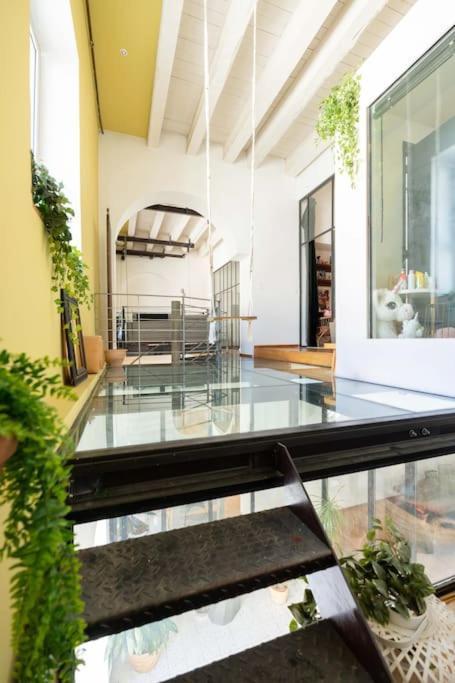 Apartment Le Loft Du Vieux-port - St Victor